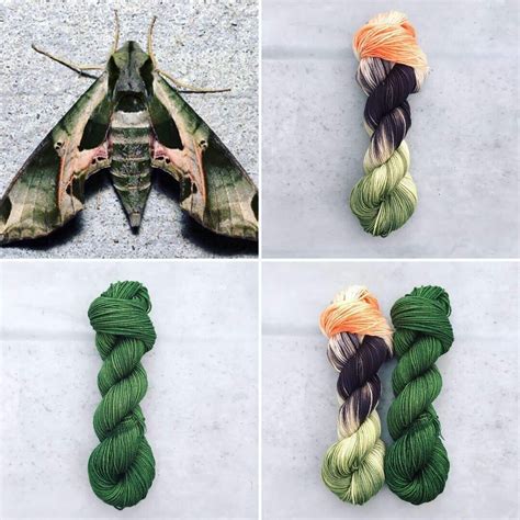 Pandora Sphinx Moth and Sphinx Moth Green — Round Mountain Fibers