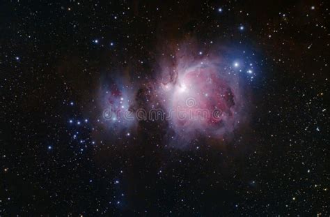 Colourful Orion Nebula stock image. Image of universe - 233667167