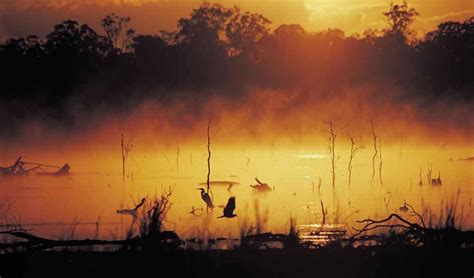 Mareeba, Queensland - Australian Geographic