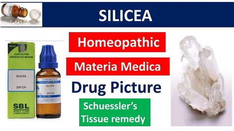 Silicea Drug Picture | Materia Medica | Homeopathy #bhms #silicea #materiamedica #drugpicture ...