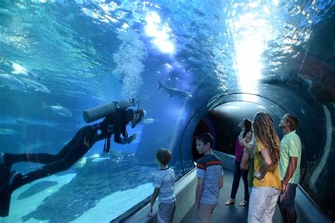 Maui Ocean Center, The Aquarium of Hawaii - Wailuku, Hawaii - Top ...