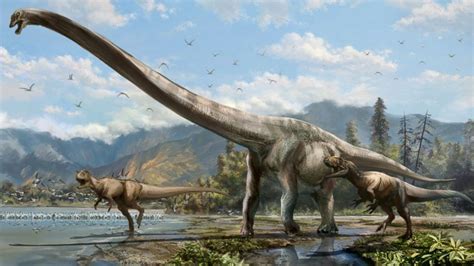 'Dragon' Dinosaur Fossil With Massive Neck Discovered in China - Good Morning America