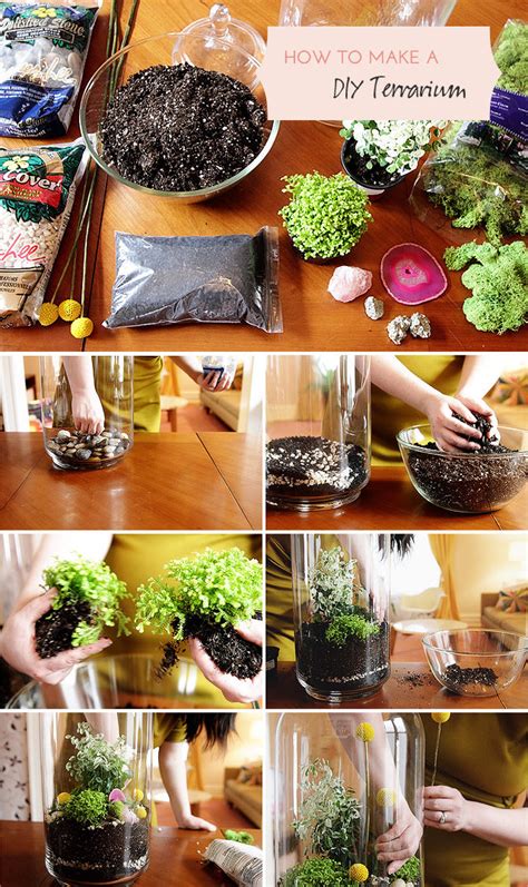 DIY Terrarium Pictures, Photos, and Images for Facebook, Tumblr ...