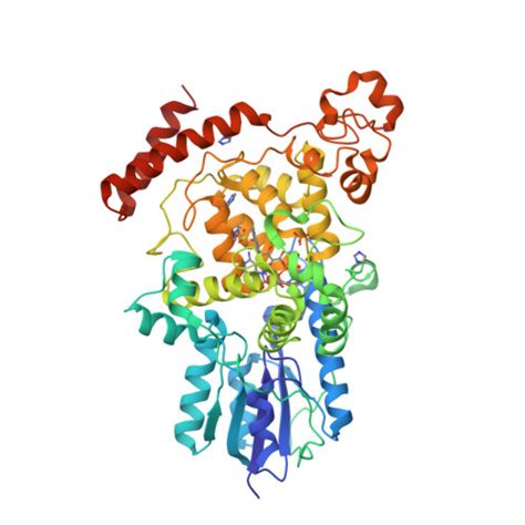 RCSB PDB - 3FY4: (6-4) Photolyase Crystal Structure