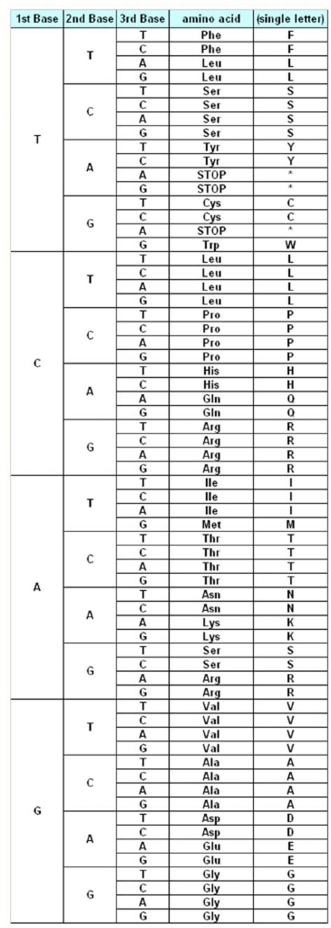 The “Universal Genetic Code Table”, adopted from Introduction to... | Download Scientific Diagram