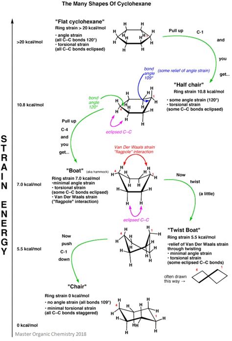 Axial and Equatorial | Facts, Summary & Definition | Chemistry Revision