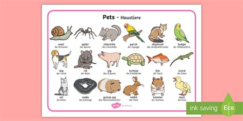 Pets Word Mat English/German - EAL, German, Pets Word Mat