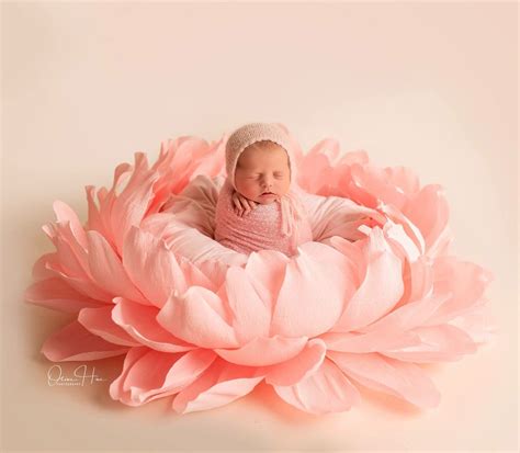 Newborn Baby Photography Props | Giant Paper Peony | Baby Girl Photo Props | Big Paper Flowers ...