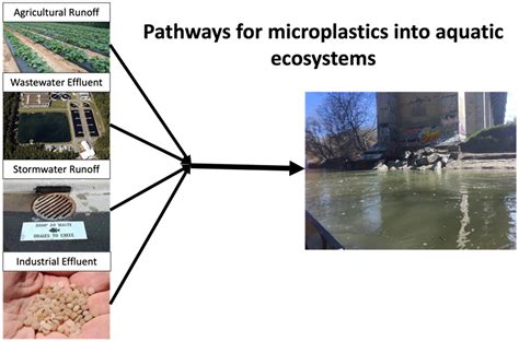 Runoff and discharge pathways of microplastics into freshwater ecosystems: A systematic review ...