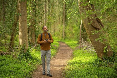 African American man walking on path in forest holding binoculars - Stock Photo - Dissolve
