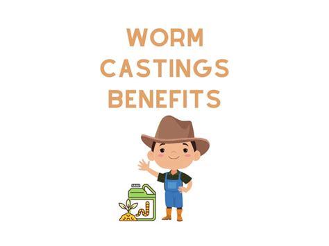 Worm Castings Benefits: A Gardener's Goldmine