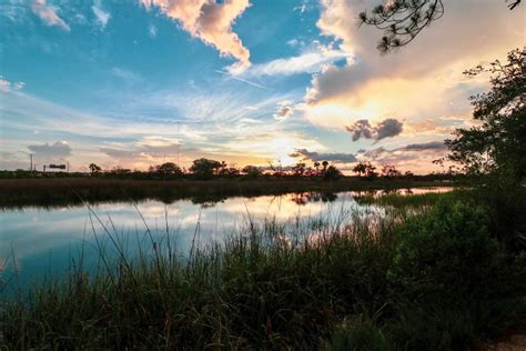 West Park, FL | Sawgrass Mill, Parks & Boardwalks