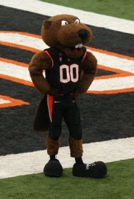 Image result for beaver mascot | Oregon state university, Beaver, Osu ...