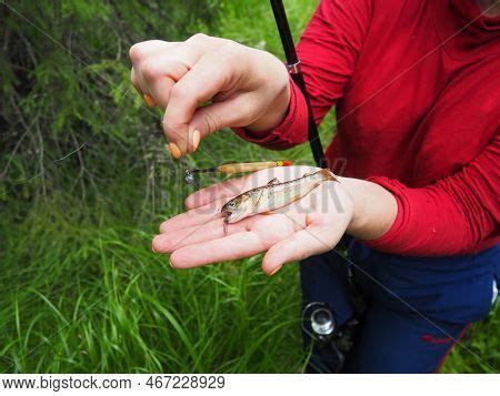 Trout Common Name Image & Photo (Free Trial) | Bigstock