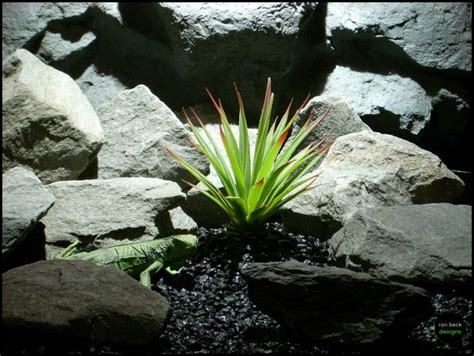 Faux Reptile Plant Terrarium Plant.: Oat Grass | Ron Beck Designs.