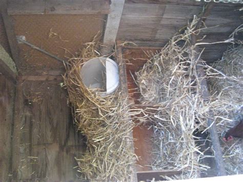 Chicken Nesting Boxes | Five Gallon Ideas