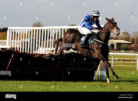 Horse Racing - Wetherby Racecourse Stock Photo - Alamy