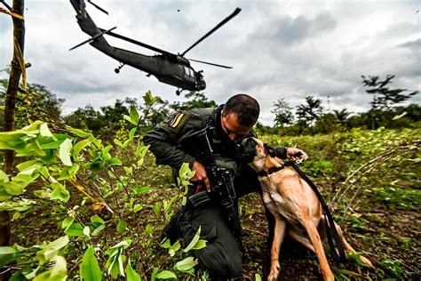 Colombia's Radical New Approach to Cocaine