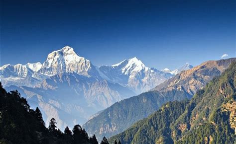 Everything About Dhaulagiri Mountain - OMG Nepal