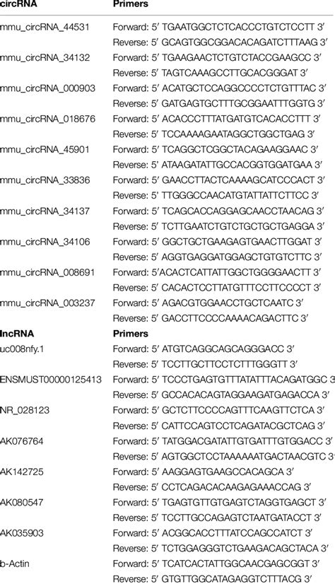 The primers used in qRT-PCR experiments. | Download Scientific Diagram