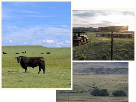 Wyoming Ranches For Sale