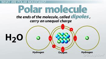 Polar Molecule Definition