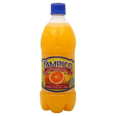 Amazon.com : Tampico, Juice Citrus Punch Pet, 20-Ounce (12 Pack) : Snack Food : Grocery ...