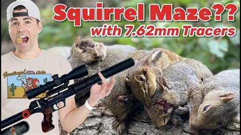 7.62mm Vs Mark Rober Squirrel Maze... which is more effective for pest control??? - YouTube