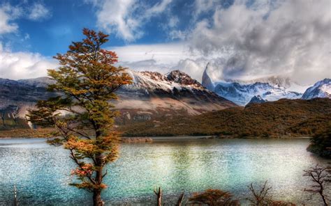 Mountain landscape with a tree wallpapers and images - wallpapers, pictures, photos