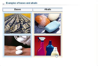 Science - Upper Primary - YDP - Illustration - Examples of bases and ...