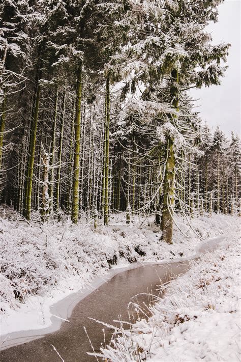 Snow in Belgium; the High Fens are the ultimate Winter Wonderland!