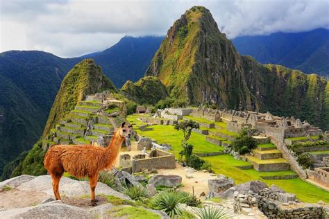 Machu Picchu - wycieczka, zdjęcia, schody