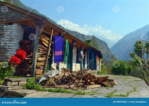 A Gurung Village Between Rice Fields In The Himalayas, Nepal Royalty-Free Stock Photo ...