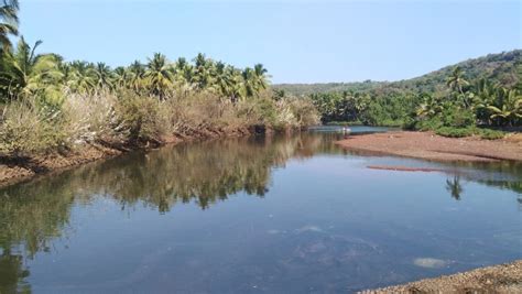 Top thing to do in Guhagar Beach (2024) | All about Guhagar Beach, Velneshwar, Maharashtra