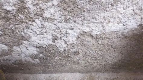 What does mold look like on concrete? Effective Ways