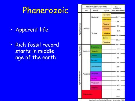 PPT - Life on earth through time PowerPoint Presentation, free download - ID:2687486