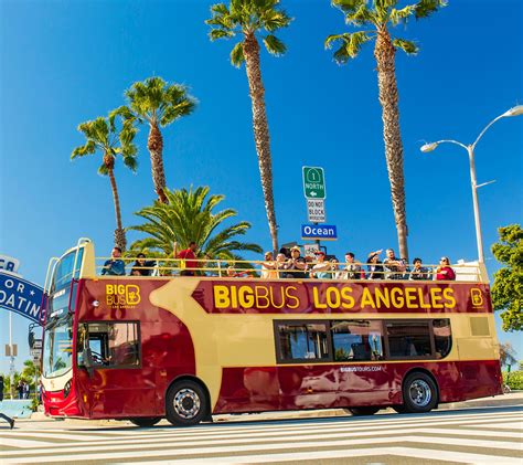 List 90+ Pictures Big Bus Tours Las Vegas Photos Full HD, 2k, 4k 10/2023