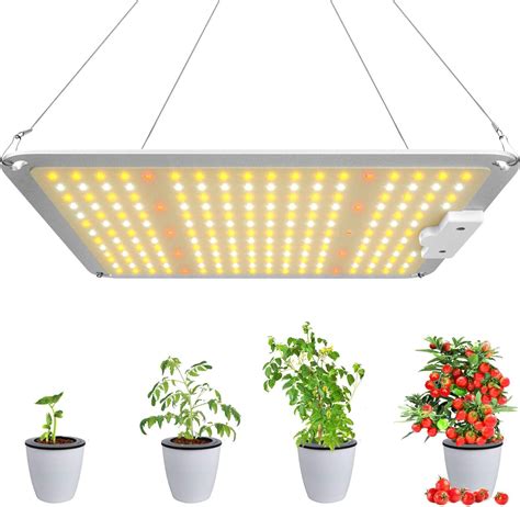 Lights & Lighting Professional Lighting Plant Growing Lamps for Indoor ...