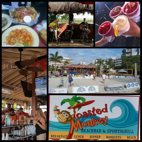 Toasted Monkey - 40 Photos - American (Traditional) - St Pete Beach ...