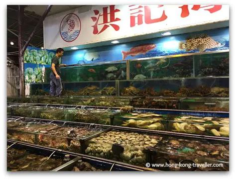 Sai Kung: A Colorful Floating Seafood Market