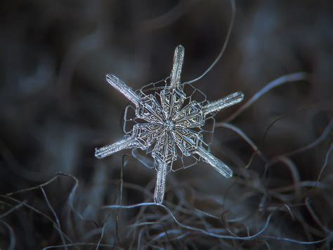 Real Snowflakes Outside