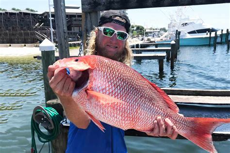 11 Best Red Snapper Fishing Spots in the Gulf (Updated 2023)