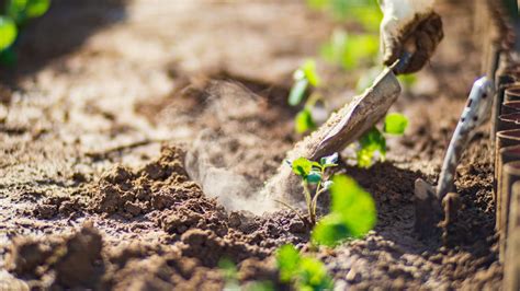 Do Synthetic Fertilizers Harm the Soil?