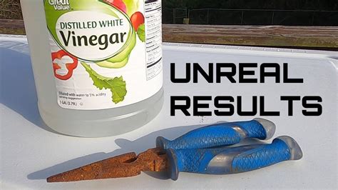 Using Vinegar to EASILY remove rust from any tool - YouTube | How to remove rust, How to clean ...