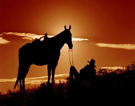 sunset cowboy | Cowgirl and horse, Fine art photo, Cowboy horse