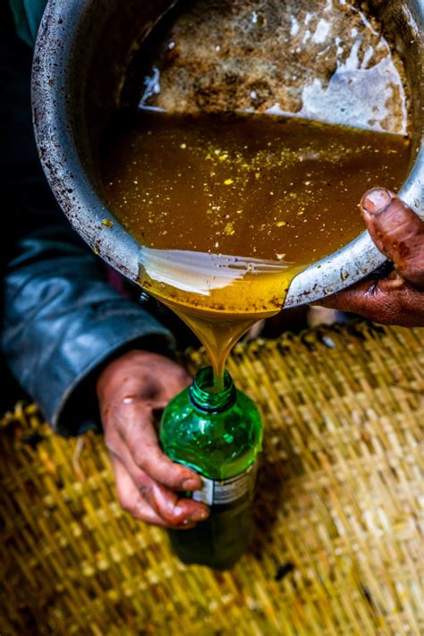 Mad Honey Hunters of Nepal - Photo Feature & Documentary - Nepal 8th Wonder