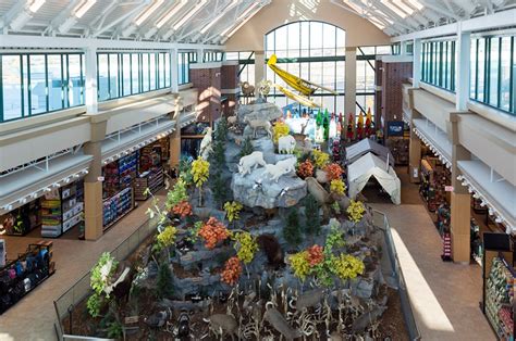 SCHEELS, Billings, MT - Q&D Construction