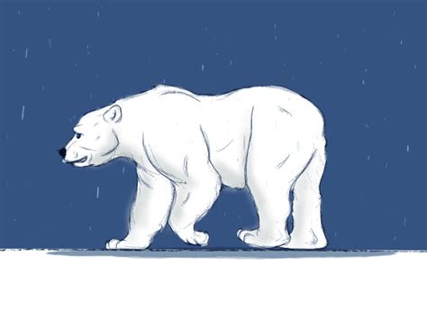 Polar Bear by SHASH4NK on Dribbble