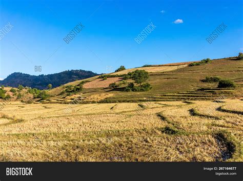 Cultivated Land Fields Image & Photo (Free Trial) | Bigstock