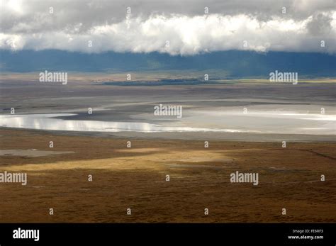 Lake Magadi in Ngorongoro Crater Stock Photo - Alamy